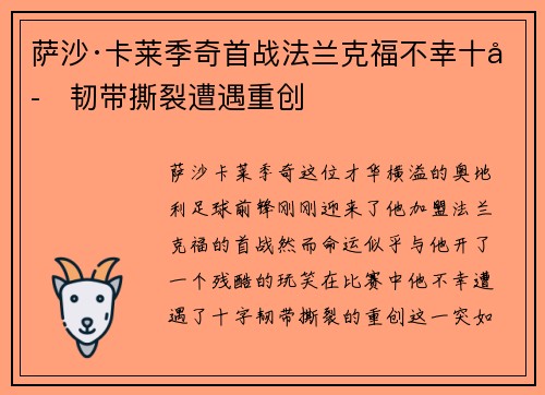 萨沙·卡莱季奇首战法兰克福不幸十字韧带撕裂遭遇重创 萨沙·卡莱季奇首战法兰克福不幸十字韧带撕裂遭遇重创